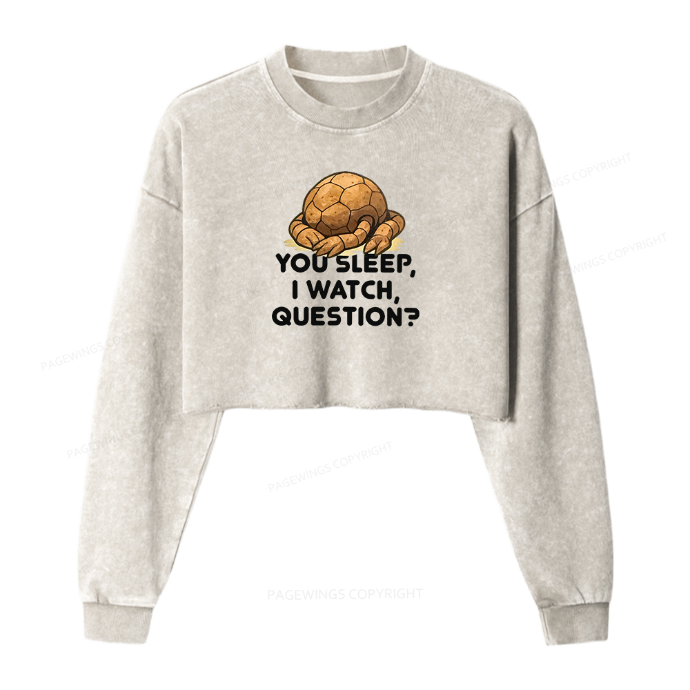Pagewings You Sleep I Watch Washed Crop Sweatshirt