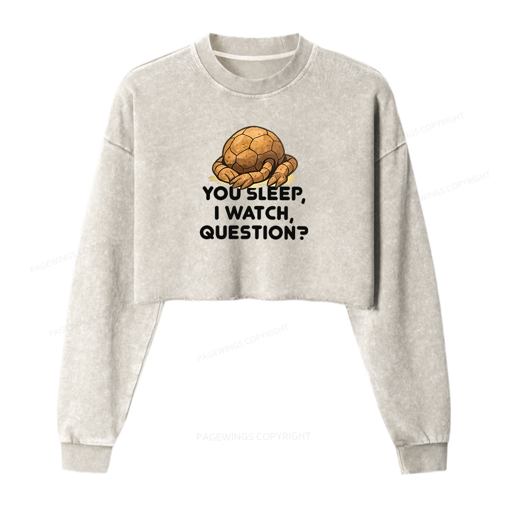 Pagewings You Sleep I Watch Washed Crop Sweatshirt