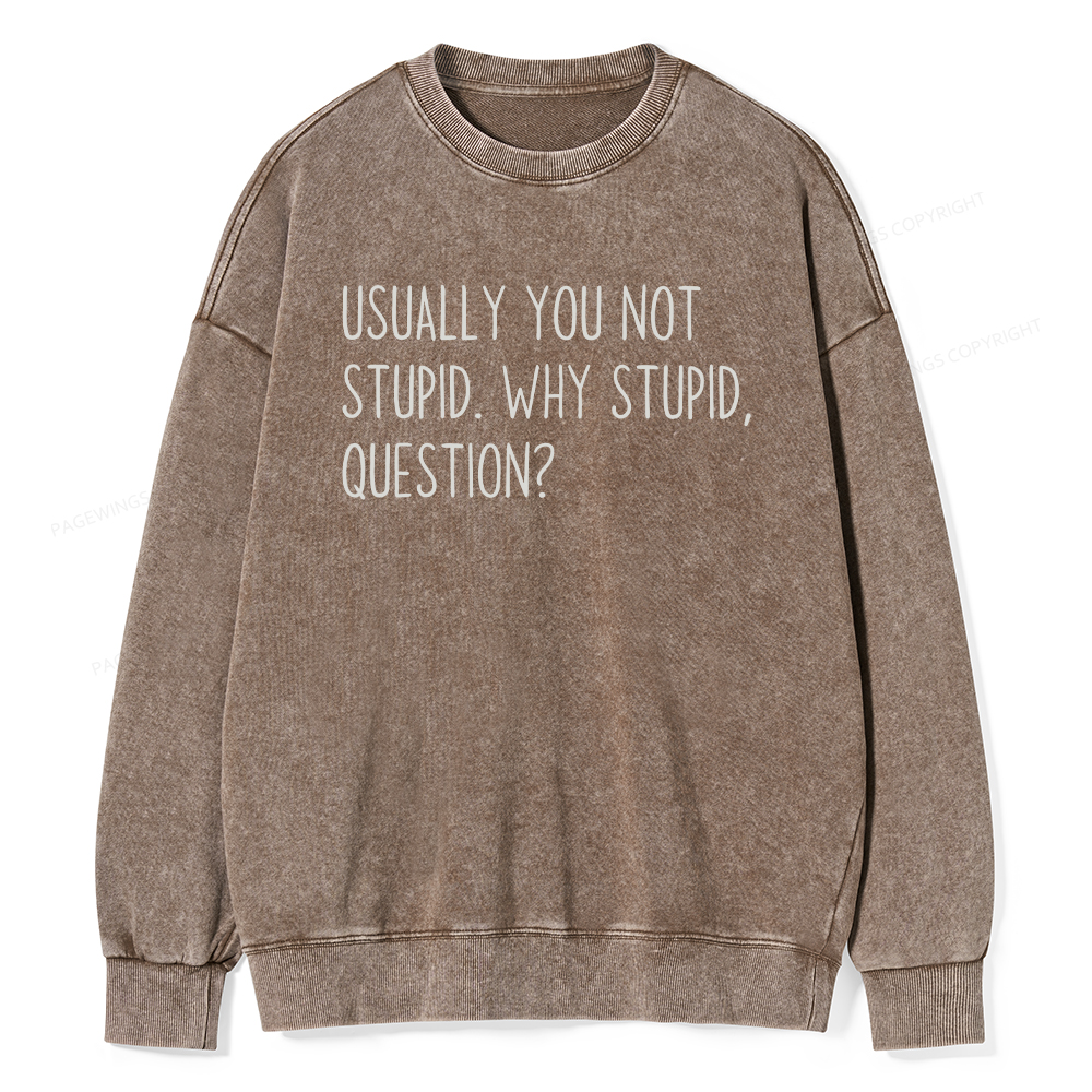 Pagewings Why Stupid Question Unisex Washed Sweatshirt
