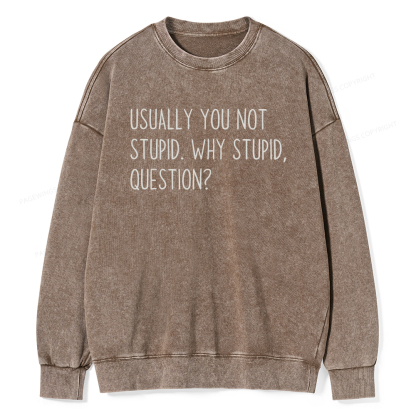 Pagewings Why Stupid Question Unisex Washed Sweatshirt
