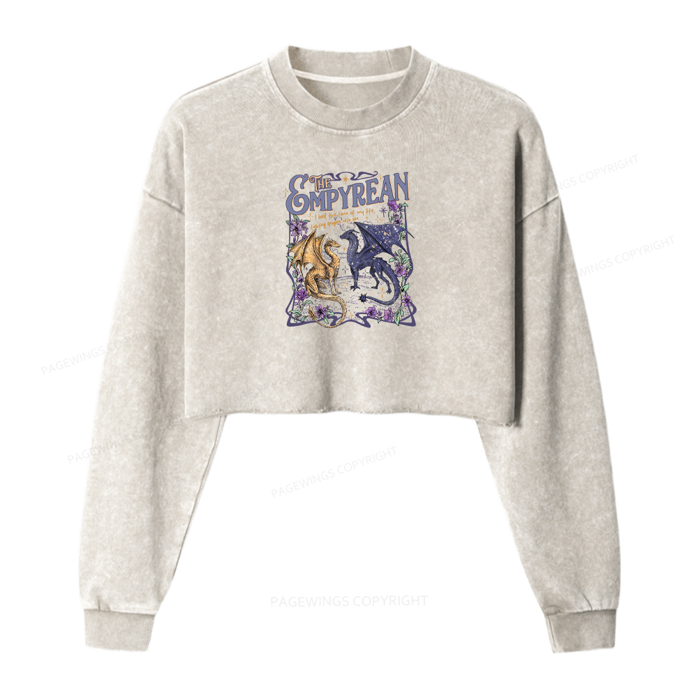 Pagewings Dragon Riders Washed Crop Sweatshirt