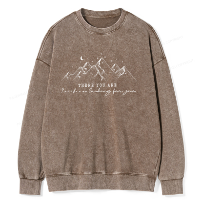 Pagewings ive been looking for you Unisex Washed Sweatshirt