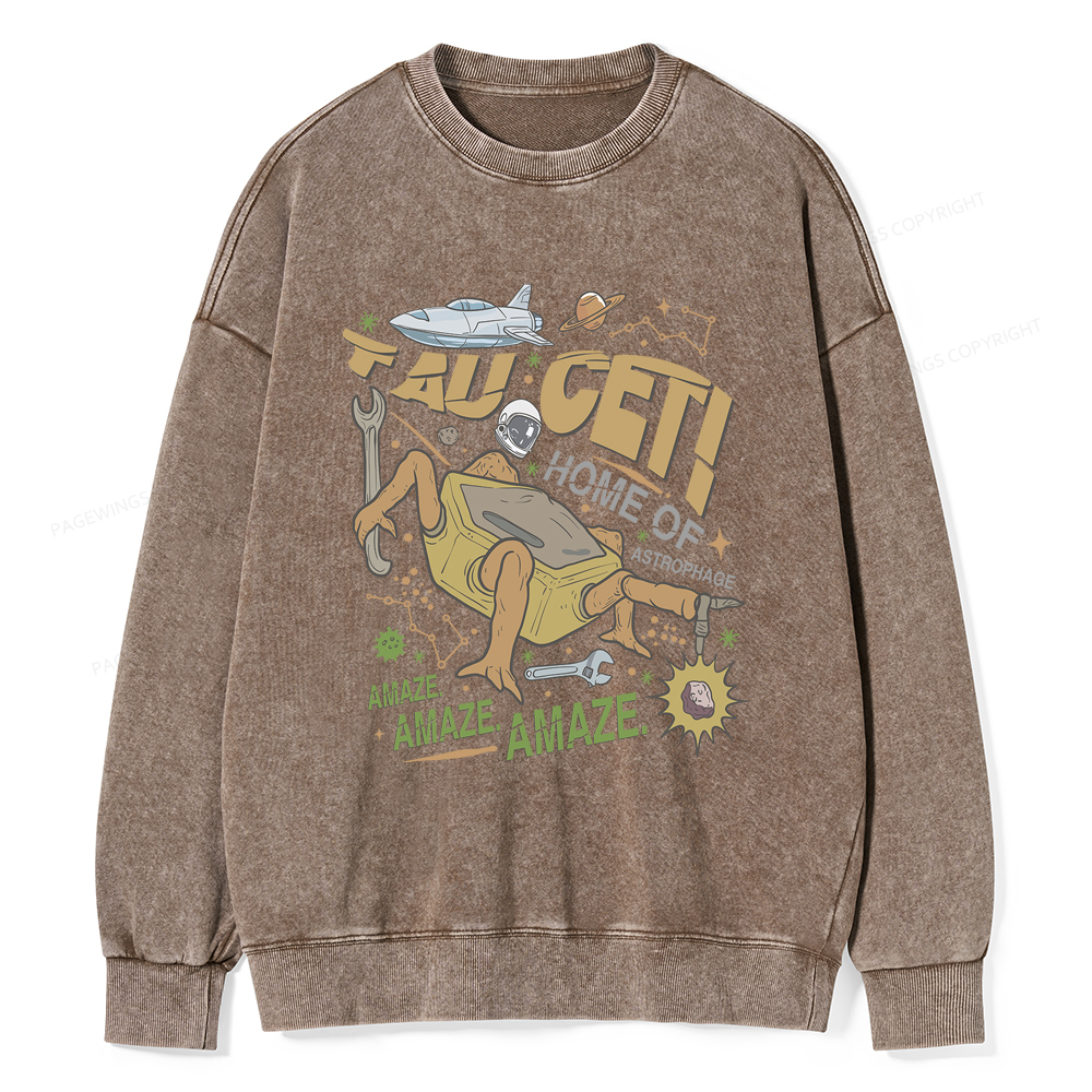 Pagewings Rocky Bookish Unisex Washed Sweatshirt