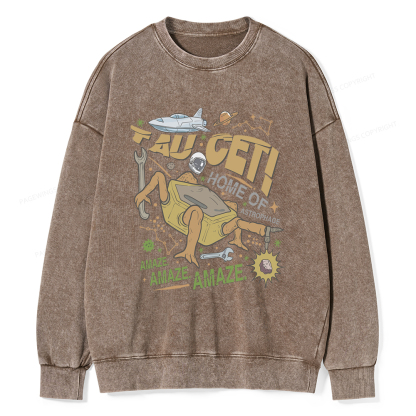 Pagewings Rocky Bookish Unisex Washed Sweatshirt