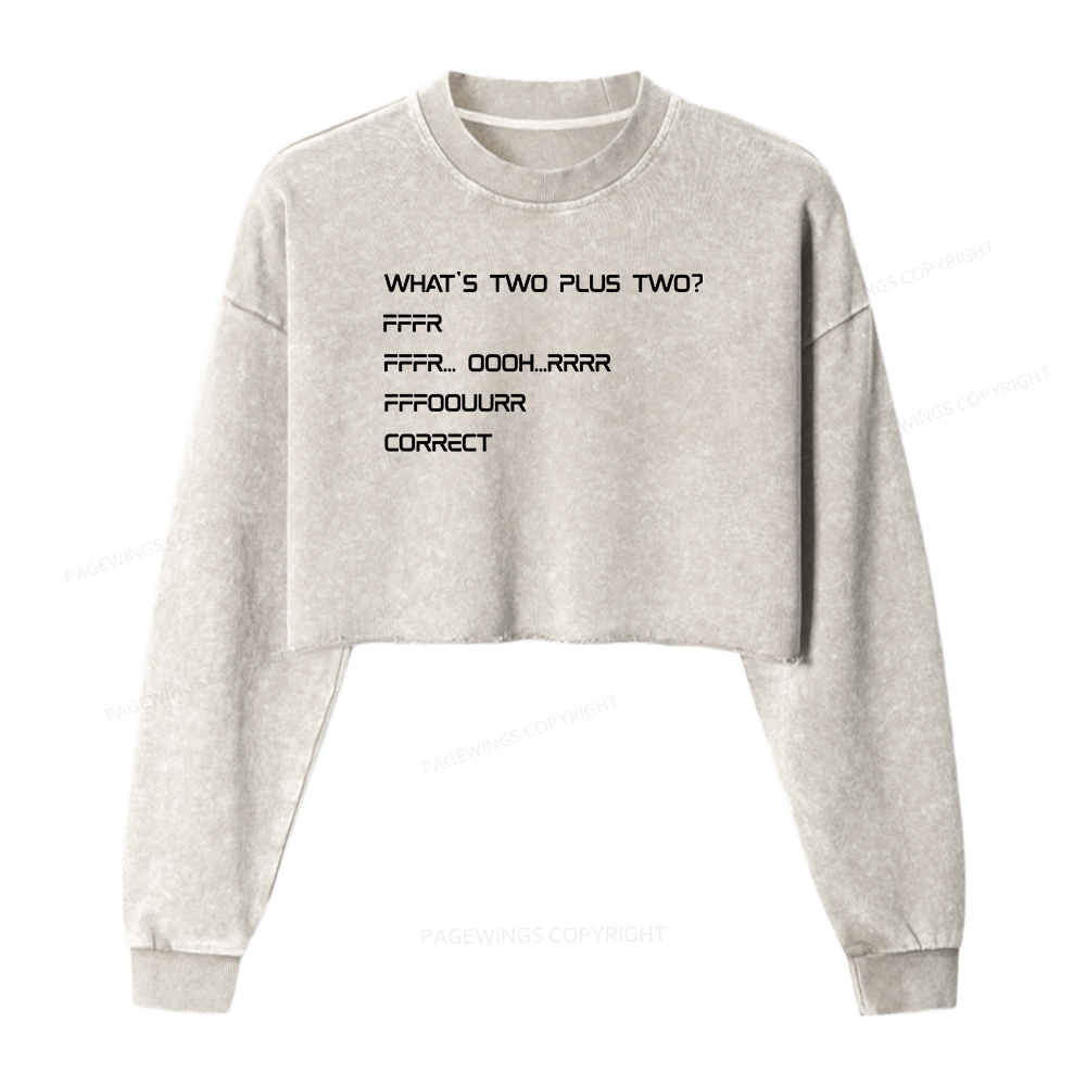 Pagewings What’s Two Plus Two Washed Crop Sweatshirt