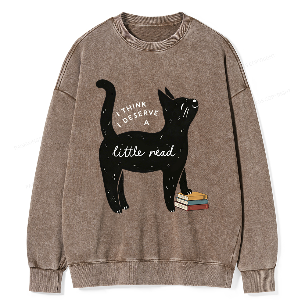 Pagewings Little Read Unisex Washed Sweatshirt