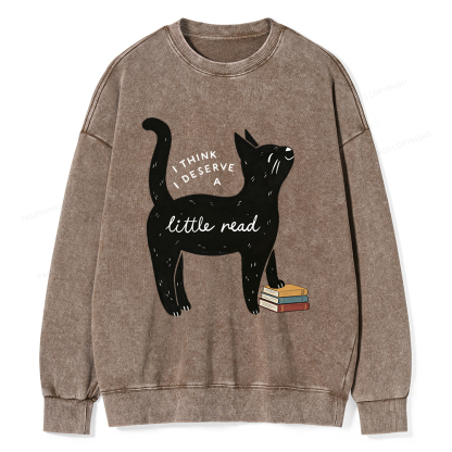 Pagewings Little Read Unisex Washed Sweatshirt