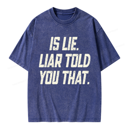 Pagewings Is Lie Liar Told You That Unisex Washed T-shirt