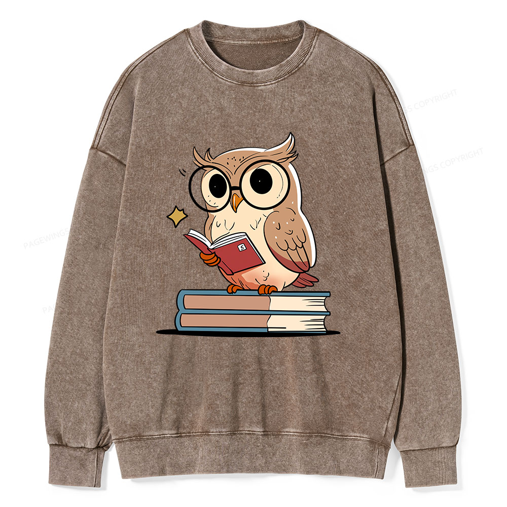 Pagewings The Owl Reader Unisex Washed Sweatshirt