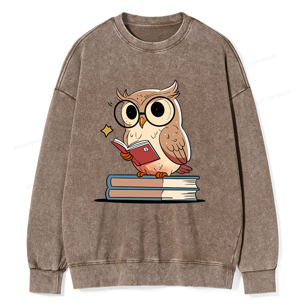 Pagewings The Owl Reader Unisex Washed Sweatshirt