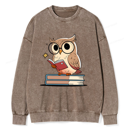 Pagewings The Owl Reader Unisex Washed Sweatshirt