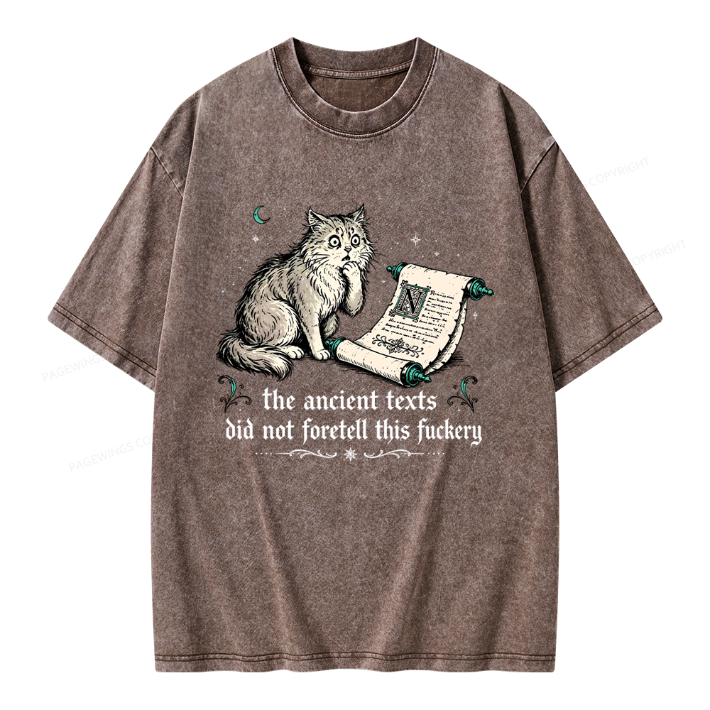 Pagewings Funny Medieval Cat Unisex Washed T-shirt