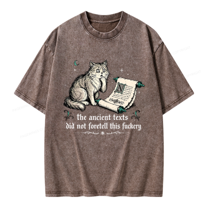 Pagewings Funny Medieval Cat Unisex Washed T-shirt