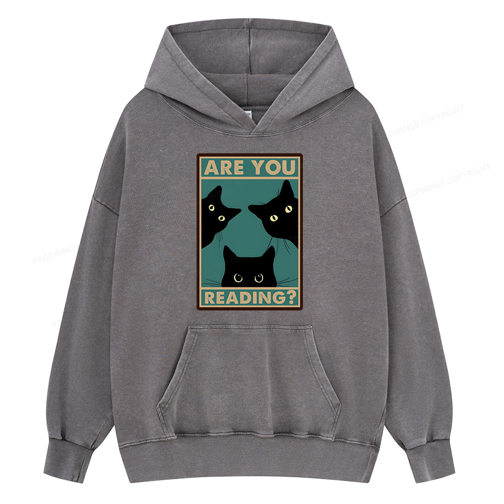 Pagewings Are You Reading Unisex Washed Hoodie