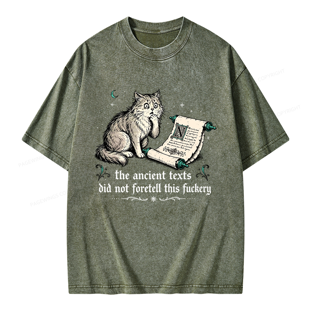 Pagewings Funny Medieval Cat Unisex Washed T-shirt