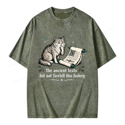 Pagewings Funny Medieval Cat Unisex Washed T-shirt