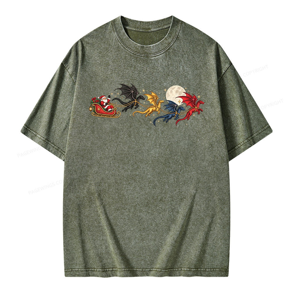 Pagewings Dragon Rider Book Fan Unisex Washed T-shirt