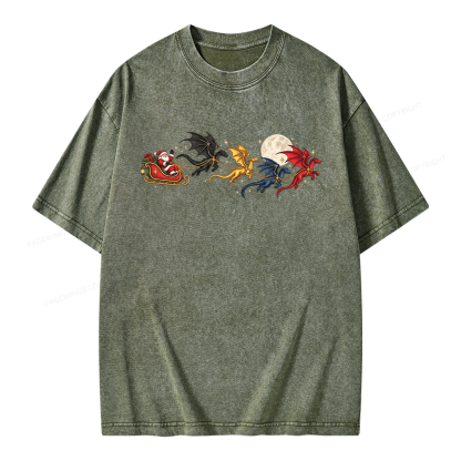 Pagewings Dragon Rider Book Fan Unisex Washed T-shirt