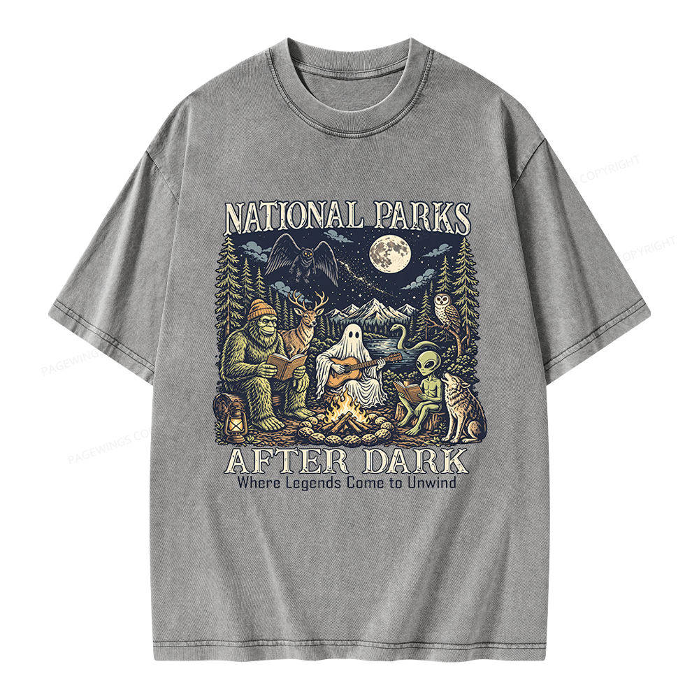 Pagewings National Parks After Dark Unisex Washed T-shirt