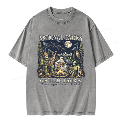 Pagewings National Parks After Dark Unisex Washed T-shirt