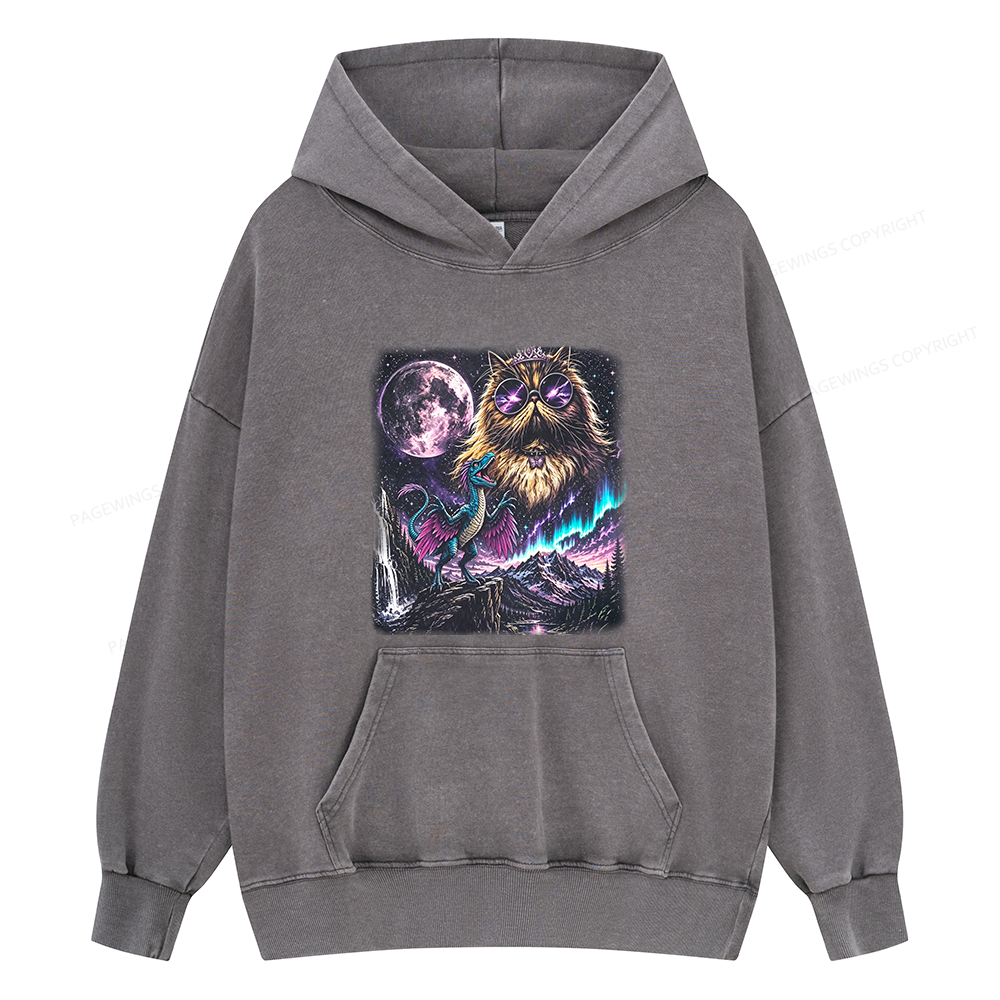 Pagewings Sci Fi Books Lover Unisex Washed Hoodie