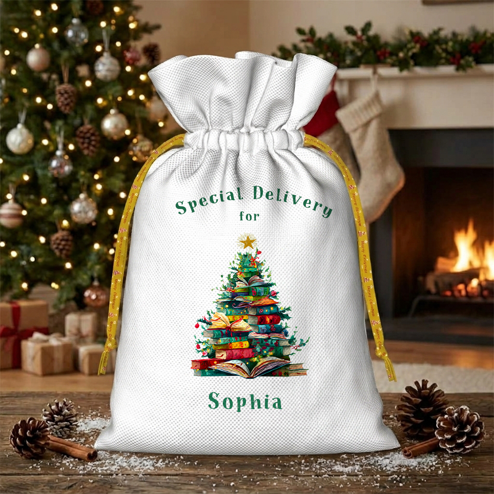 Pagewings Personalized Christmas Book Christmas Santa Sack