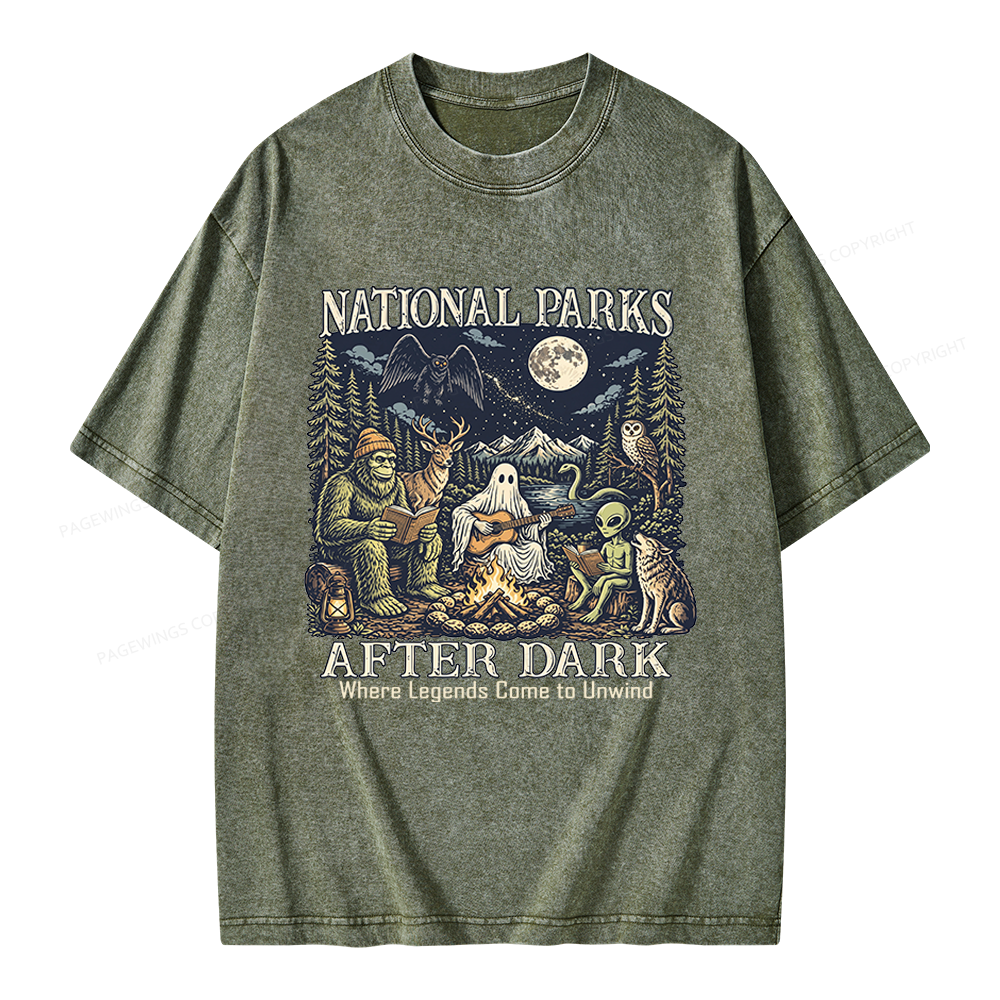 Pagewings National Parks After Dark Unisex Washed T-shirt
