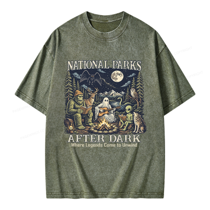 Pagewings National Parks After Dark Unisex Washed T-shirt