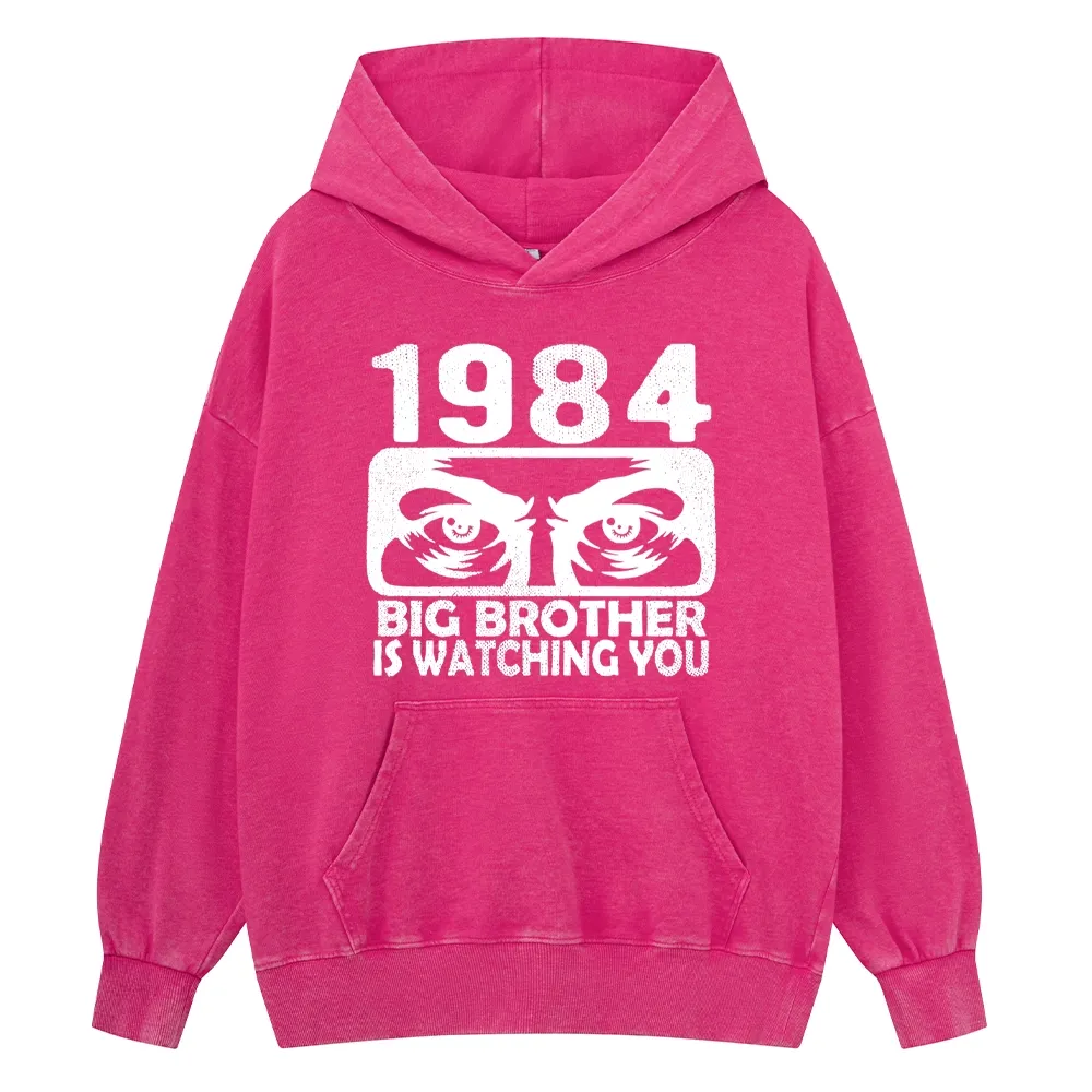 Pagewings Big Brother is Watching You Unisex Washed Hoodie