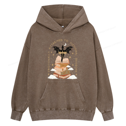 Pagewing Fantasy Romance Reader Gift Romantacy Unisex Washed Hoodie