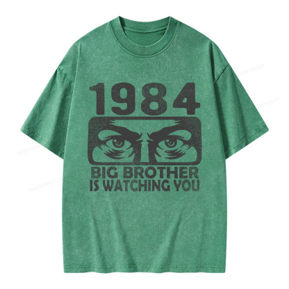 Pagewings Big Brother is Watching You Unisex Washed T-shirt
