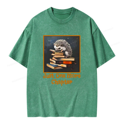 Pagewings Just One More Chapter Unisex Washed T-shirt