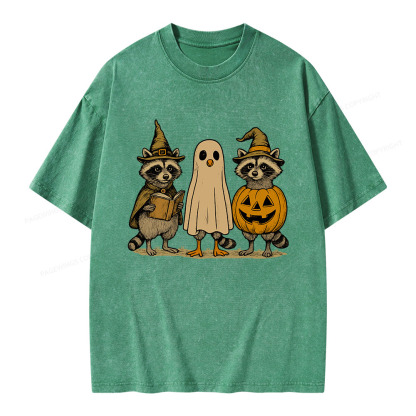 Pagewings Halloween Raccoon Unisex Washed T-shirt