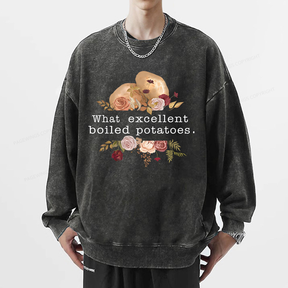 Pagewings Pride and Prejudice Unisex Washed Sweatshirt