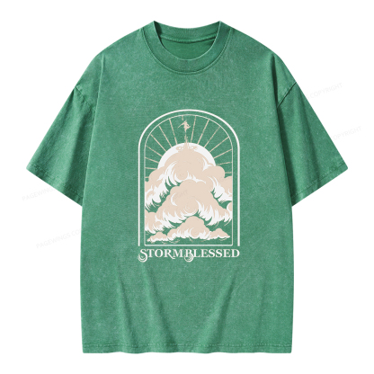 Pagewings Stormblessed Unisex Washed T-shirt
