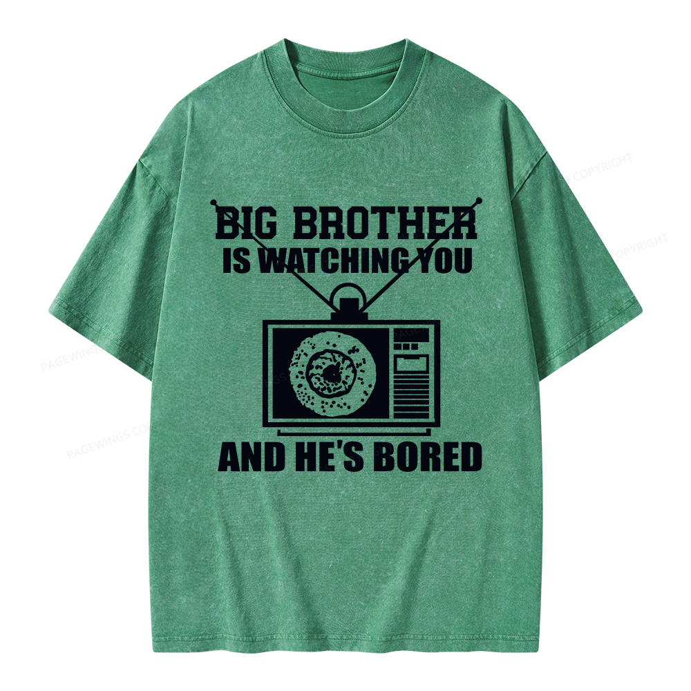Pagewings Big Brother is Watching Unisex Washed T-shirt