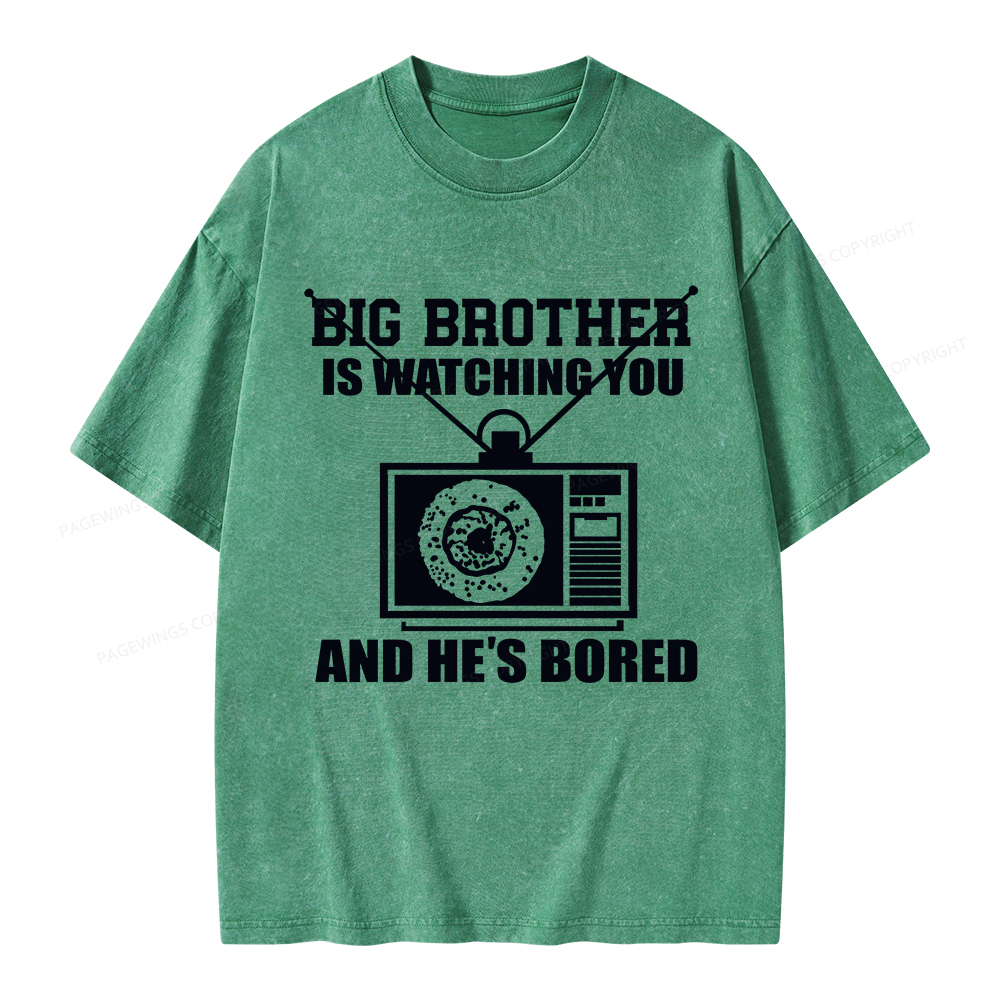 Pagewings Big Brother is Watching Unisex Washed T-shirt