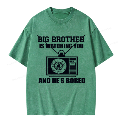 Pagewings Big Brother is Watching Unisex Washed T-shirt
