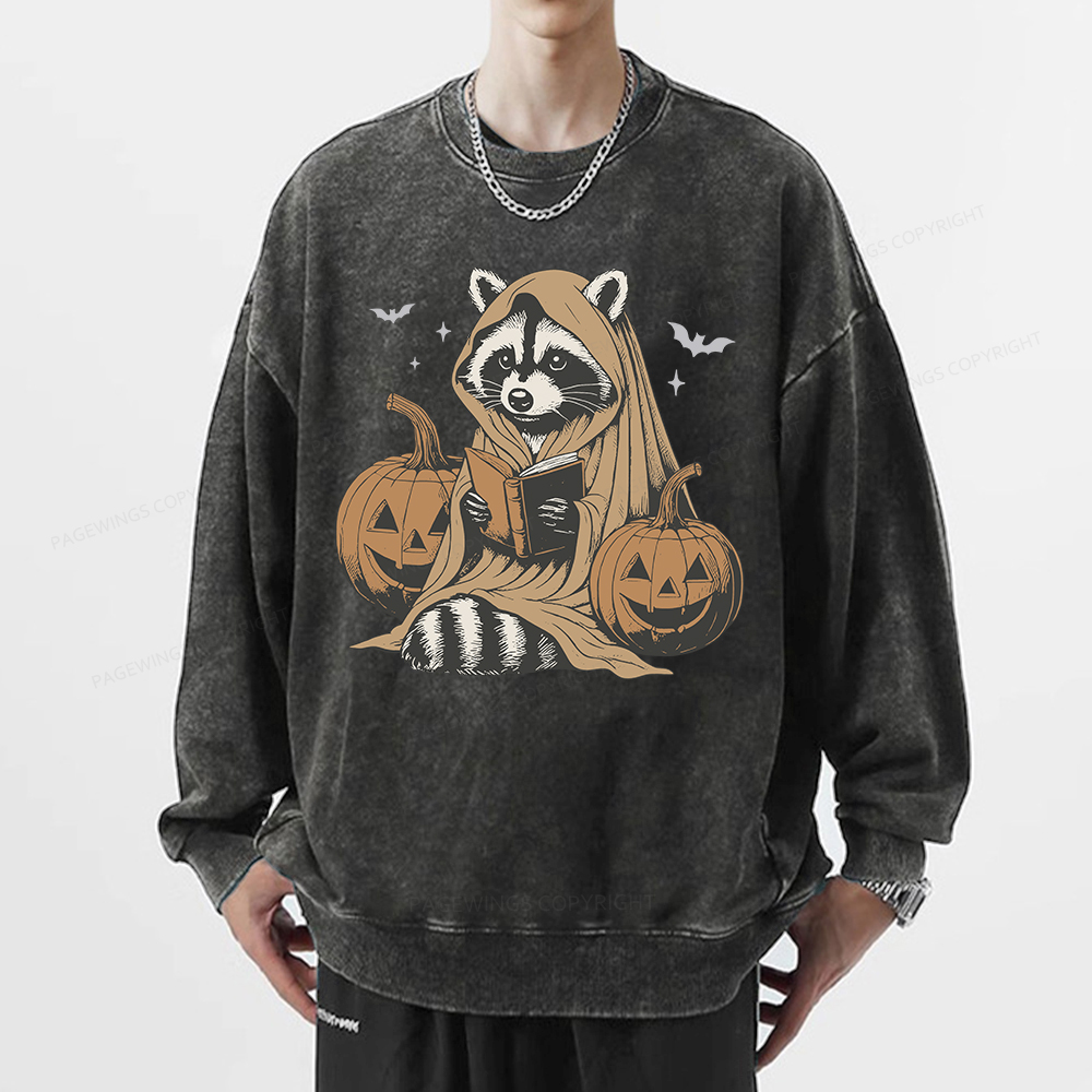 Pagewings Halloween Cute Raccoon Ghost Reading Unisex Washed Sweatshirt