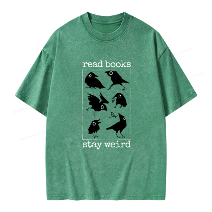 Pagewings Read Books Stay Weird Unisex Washed T-shirt