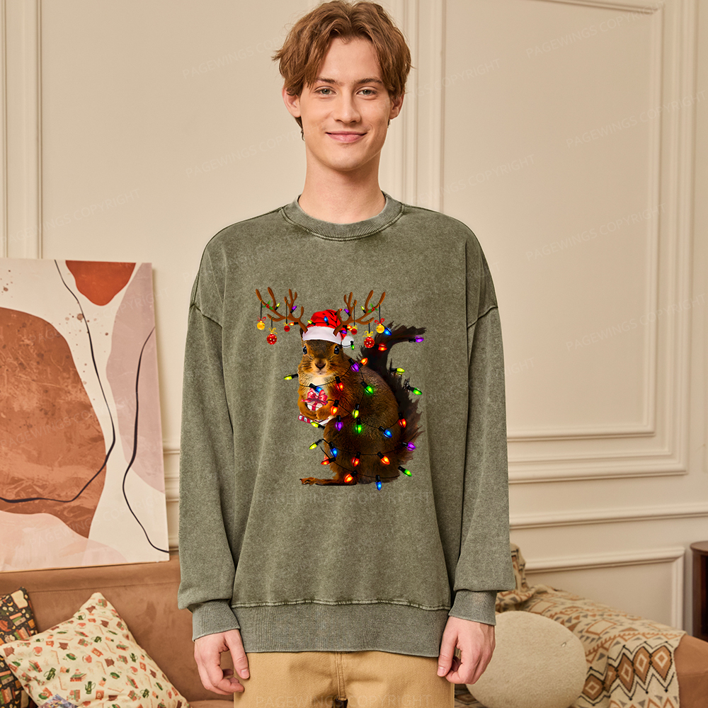 Pagewings Christmas Squirrel Lights Unisex Washed Sweatshirt