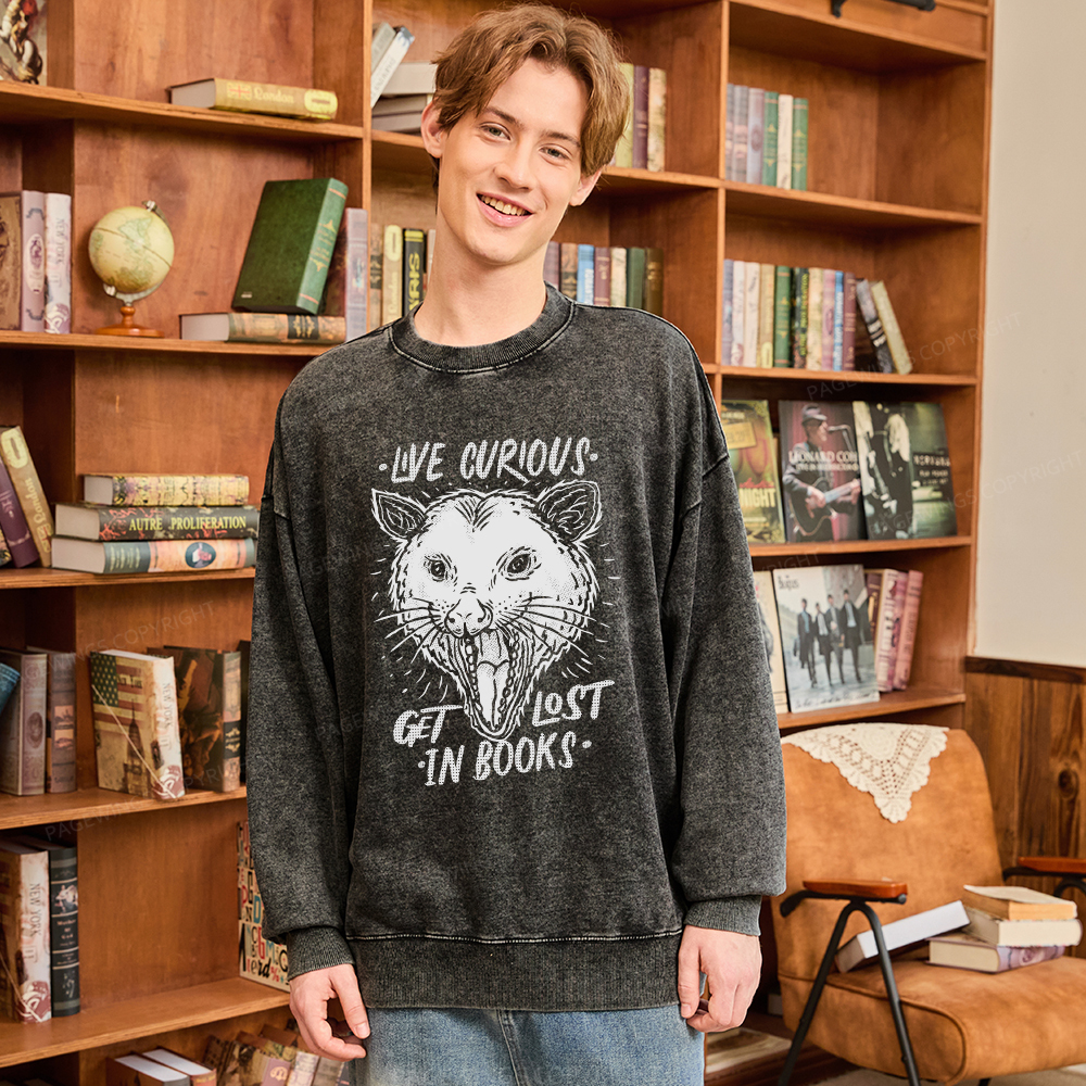 Pagewings Live Curious, Get Lost In Books Unisex Washed Sweatshirt
