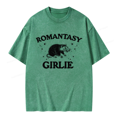 Pagewings Romantasy Girlie Unisex Washed T-shirt