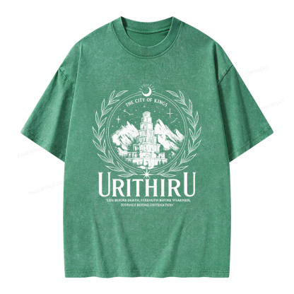 Pagewings Urithiru Unisex Washed T-shirt