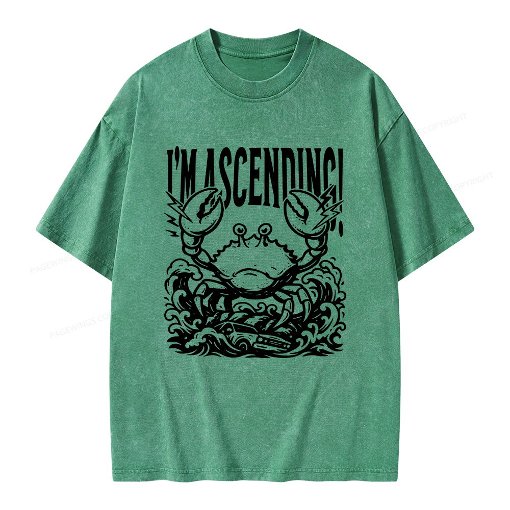 Pagewings I'm Ascending Vintage Unisex Washed T-shirt