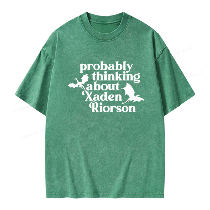 Pagewings Probably Thinking About Xaden Riorson Unisex Washed T-shirt