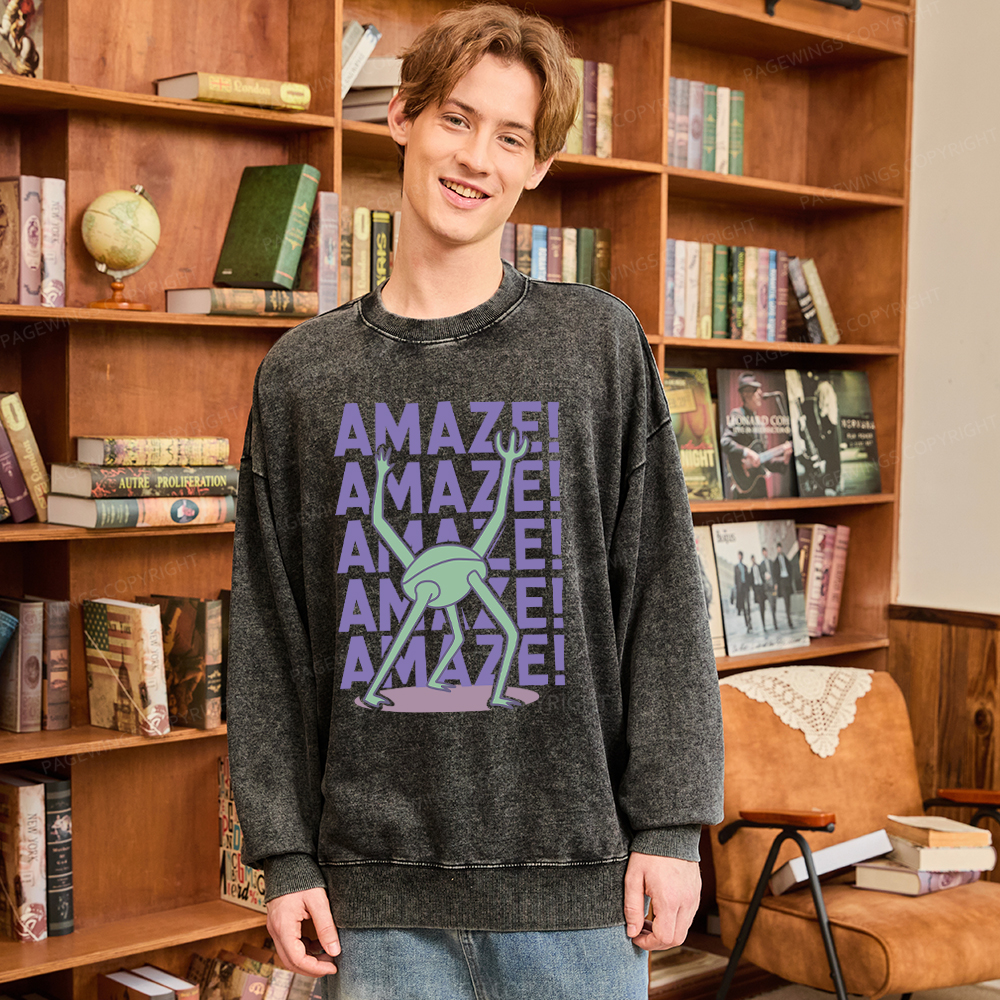 Pagewings Rocky Amaze Washed Sweatshirt
