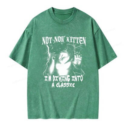 Pagewings Not Now Kitten I’m Diving Into A Classic Unisex Washed T-shirt