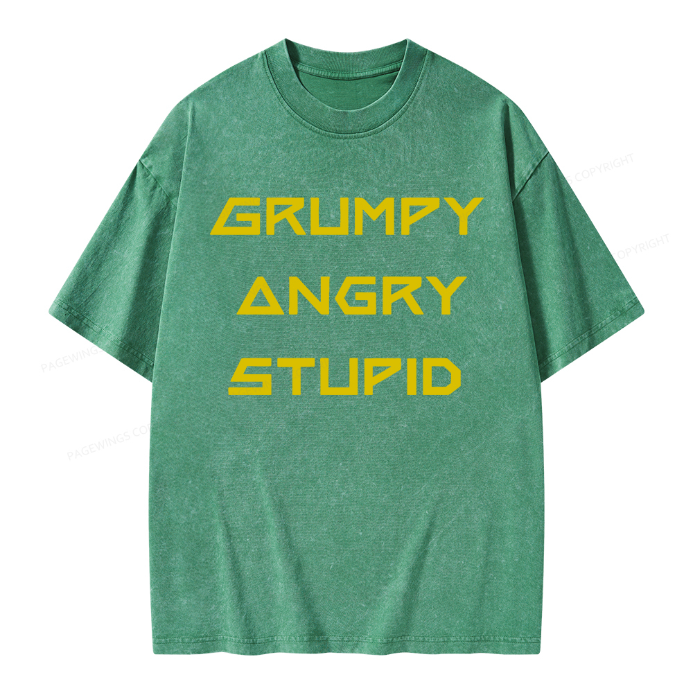 Pagewings Grumpy Angry Stupid Unisex Washed T-shirt