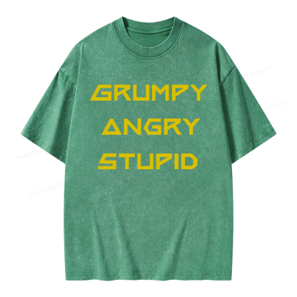 Pagewings Grumpy Angry Stupid Unisex Washed T-shirt